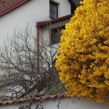 Apartmány u Koček Tábor Kültér fotó
