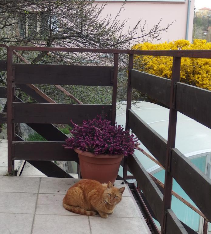 Apartmány u Koček Tábor Kültér fotó